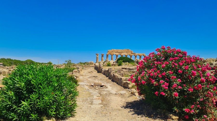 świątynia Apolla w Parku Archeologicznym w Selinunt podczas wycieczki po południu Sycylii