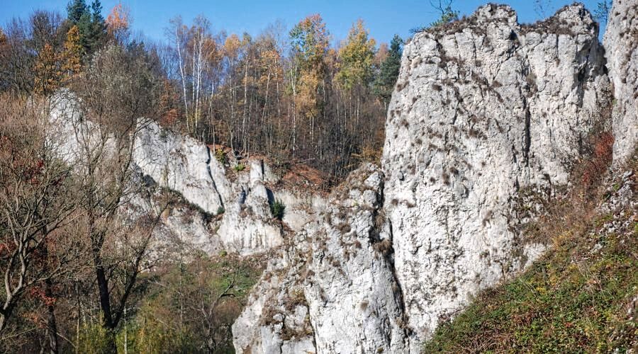 landscape in area of Pieskowa Skala settlement in the Ojcowski National Nature Park