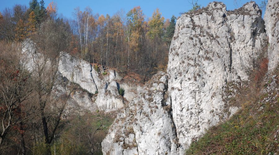 landscape in area of Pieskowa Skala settlement in the Ojcowski National Nature Park