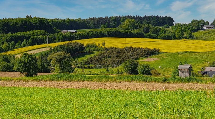 wiosenny krajobraz wsi Minoga w gminie Skała na Jurze
