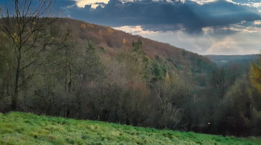 a landscape in Paczoltowice during holidays in low cost accommodation in Poland
