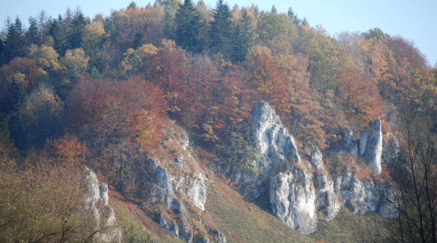 lovely krakow surroundings accommodation