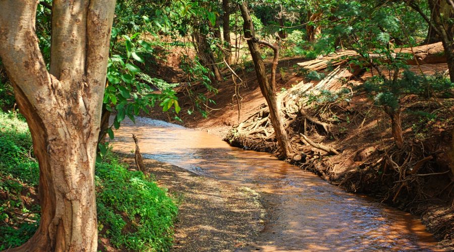 potok przy wiosce podczas safari w Kenii