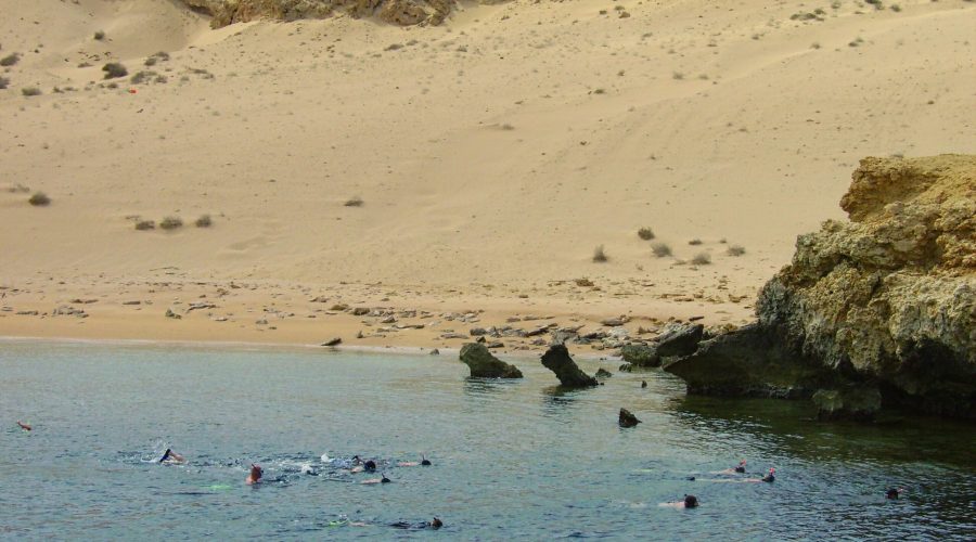 snorkeling przy przepięknej rafie koralowej Parku Ras Muhammed przy Półwyspie Synaj