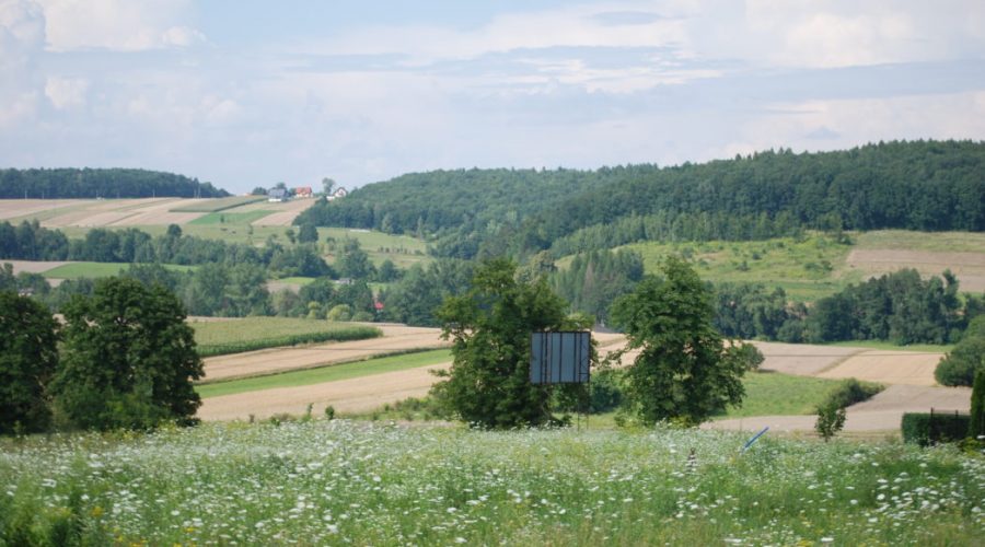 dlubnianski-park-krajobrazowy