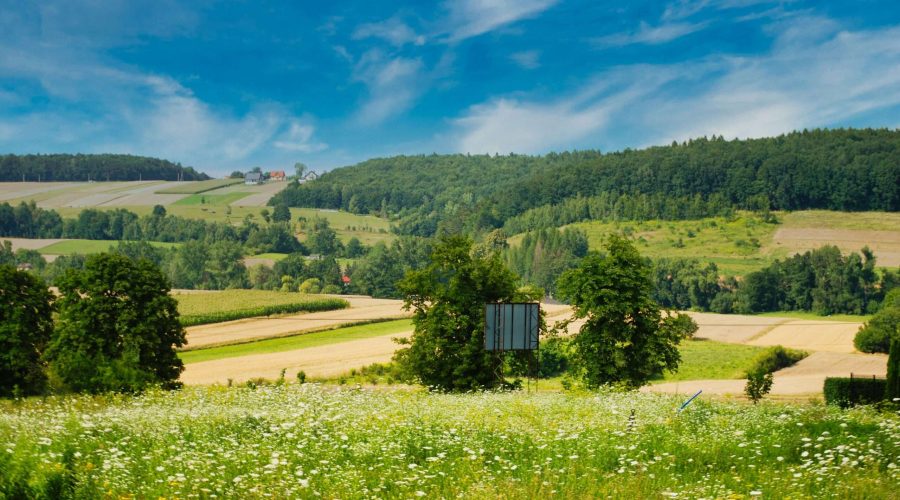 widok na Dłubniański Park Krajobrazowy