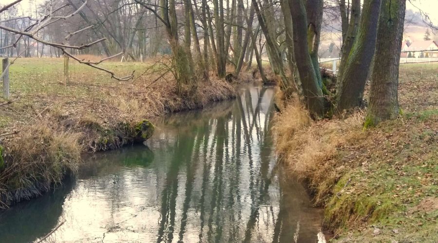 rejon Korzkwi podczas pobytu w tanim hotelu na Jurze koło Krakowa