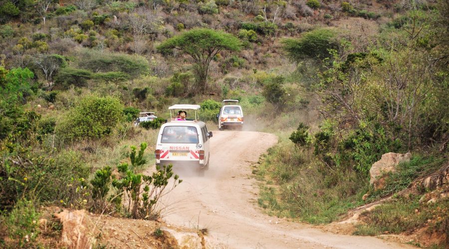 busy z podnoszonym dachem podczas safari w Tsavo West w Kenii