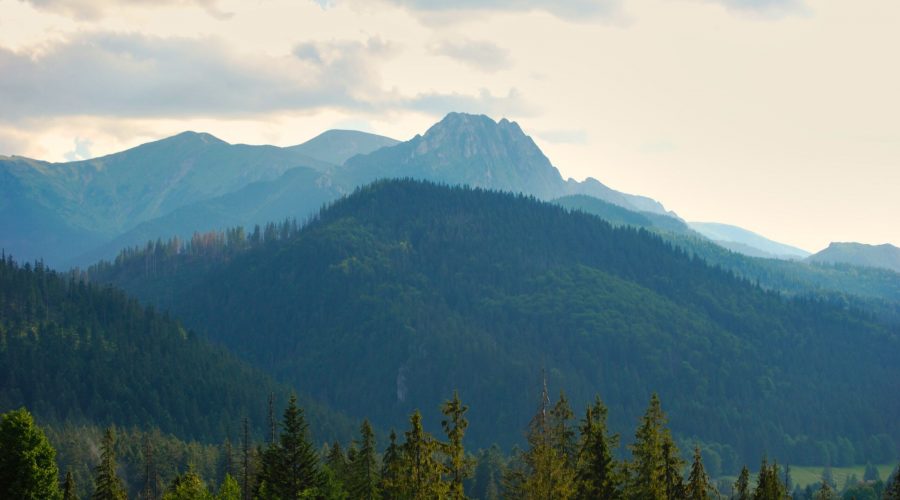 widok z taniego apartamentu pod Zakopanem na Tatry