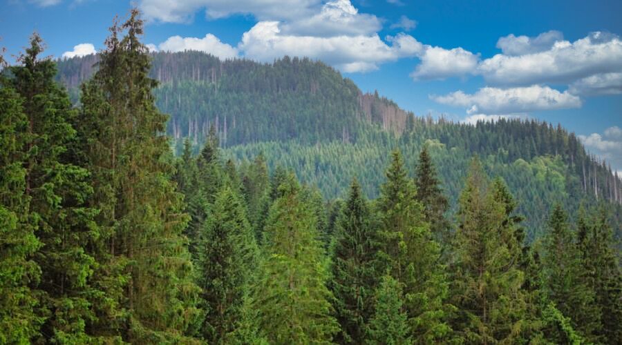 the Tatra mountains landscape during a stay in low budget accommodation in Zakopane