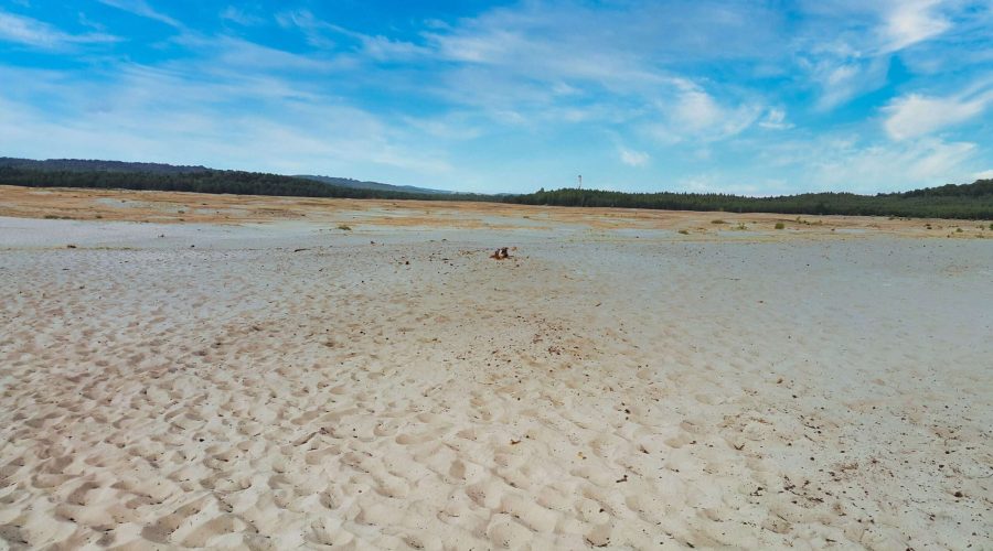 the vast area of sands in the Polish Jura called the Bledowska Dessert