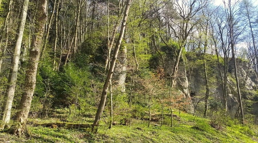 rocks hidden in the forest in the Polish Jura near to Maszkow