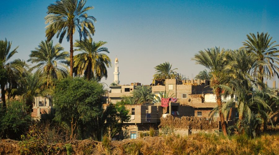 wioska z meczetem w dorzeczu Nilu podczas wycieczki do Doliny Królów