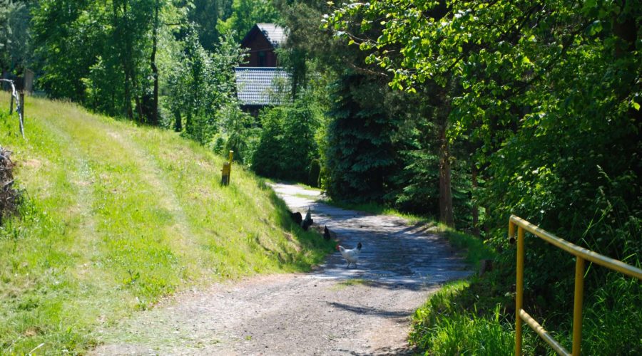 obraz polskiej wsi podczas weekendu w Łapanowie na Ziemi Bocheńskiej