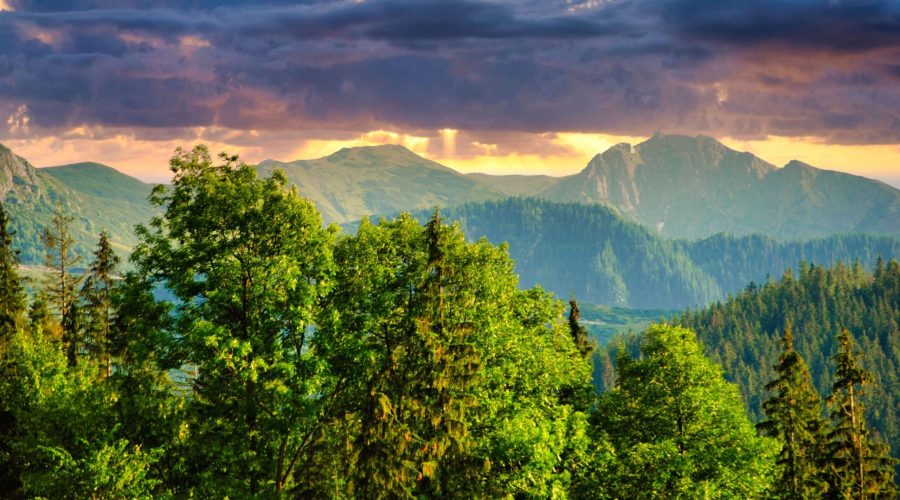 panorama na Tatry podczas pobytu w apartamentach w Cyrhli