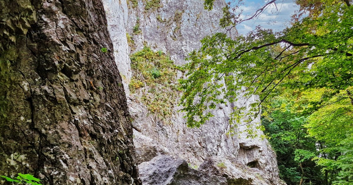 rocks of the Wierzchowska Cave near to Krakow