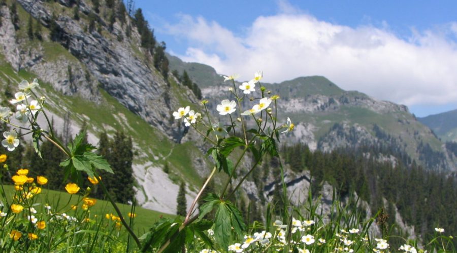 dobre wycieczki szwajcaria