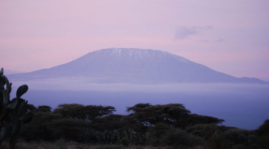 Kenia Tanzania Zanzibar 16 Dni Prognoza Pogody Dlugoterminowa