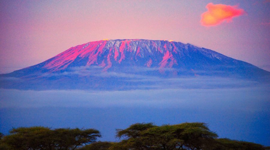 Kilimadżaro podczas wycieczki typu safari po Kenii
