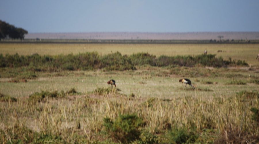 wyprawy kenia